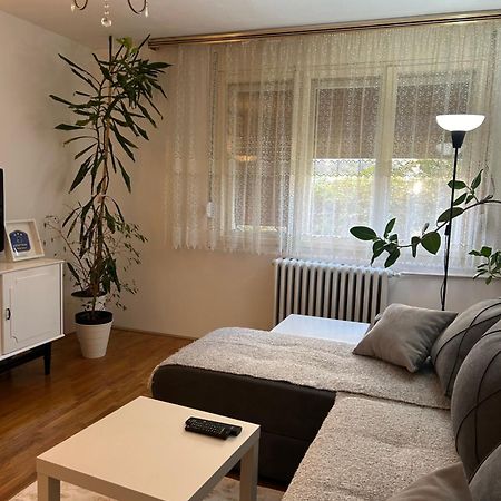 Kelizual Apartment Gornji Milanovac Exterior photo